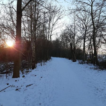 Vakantiehuis Aan Het Bos - Gelegen Aan De Tulpenroute Bant Exterior photo